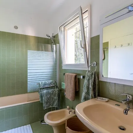 Kallinera فيلة